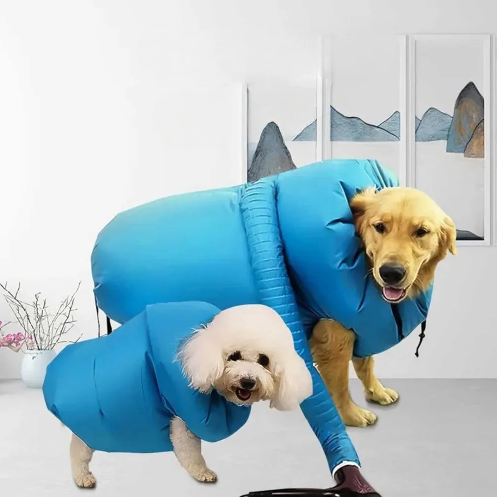 반려묘 반려견 헤어 드라이어 가방 그루밍 헤어 드라이어 - Hot Dog Press 리뷰 및 가격